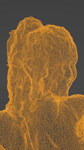 Simone Nijssen 3D scan - close up of head in wireframe mode